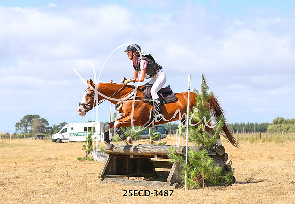25ECD-3487