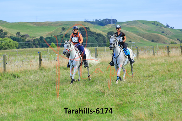 Tarahills-6174