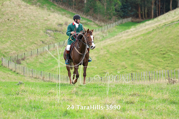 24 TaraHills-3990