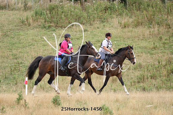 25Horrocks-1456