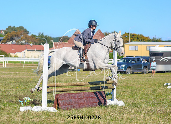 25PSH1-0228