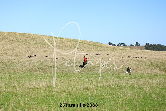25Tarahills-2388