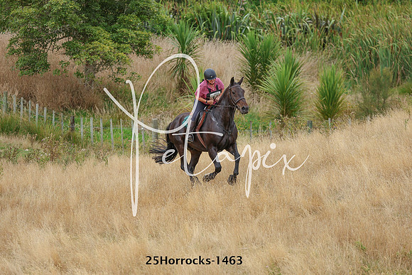 25Horrocks-1463