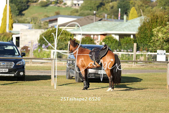 25Taihape2-6520