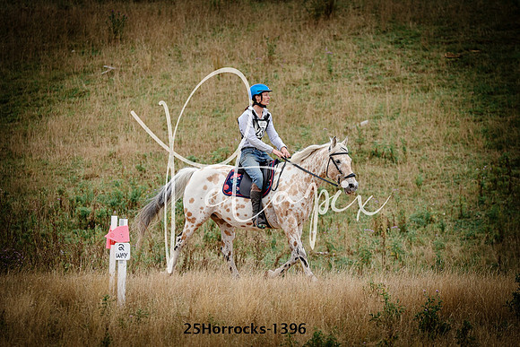25Horrocks-1396