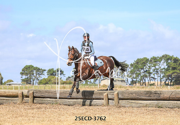 25ECD-3762