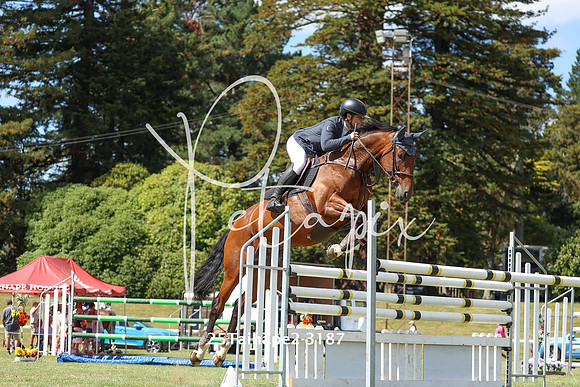 25Taihape2-3187