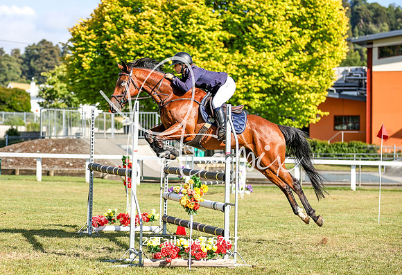25Taihape2-6767