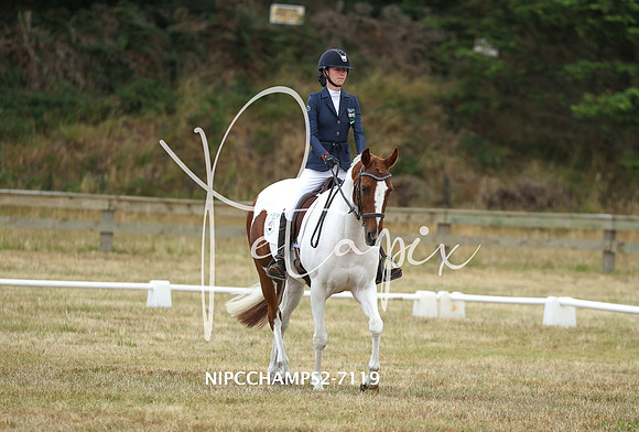 NIPCCHAMPS2-7119