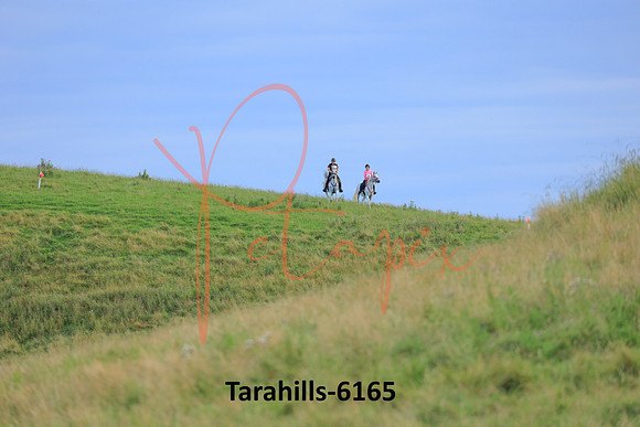 Tarahills-6165