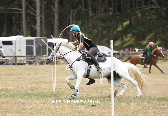NIPCCHAMPS2-9036