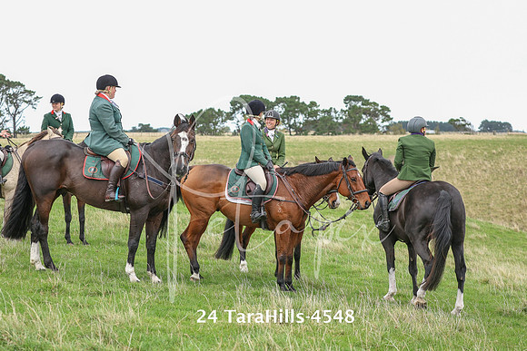 24 TaraHills-4548