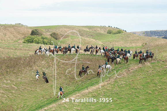 24 TaraHills-3955
