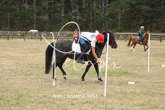 NIPCCHAMPS2-9053