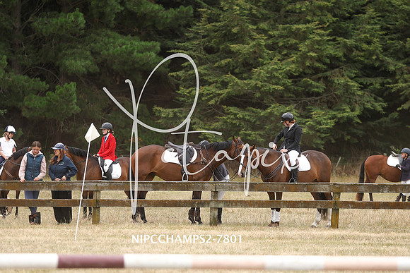 NIPCCHAMPS2-7801