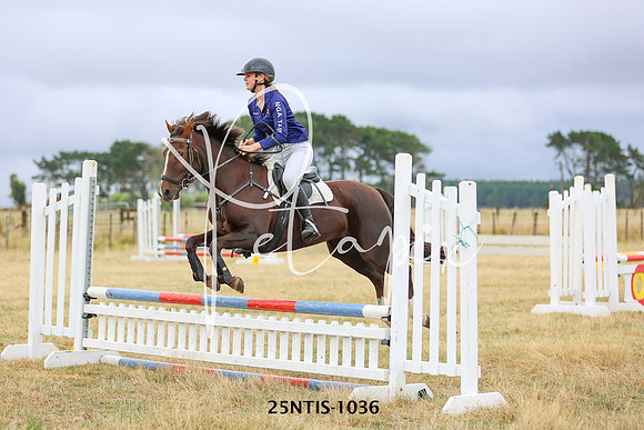 25NTIS-1036