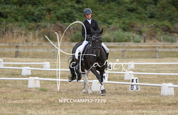 NIPCCHAMPS2-7279