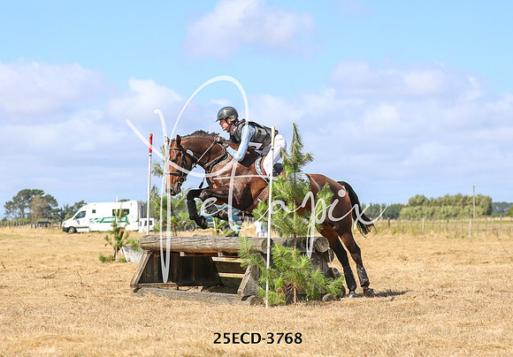 25ECD-3768