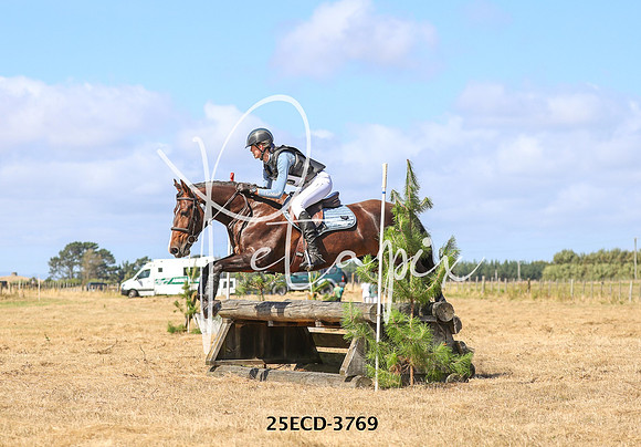 25ECD-3769