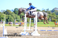 23FAPIFEB-0143