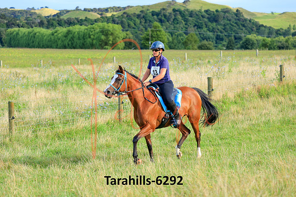 Tarahills-6292