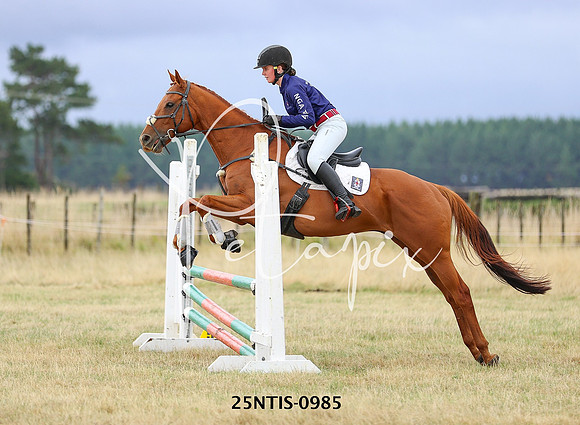 25NTIS-0985