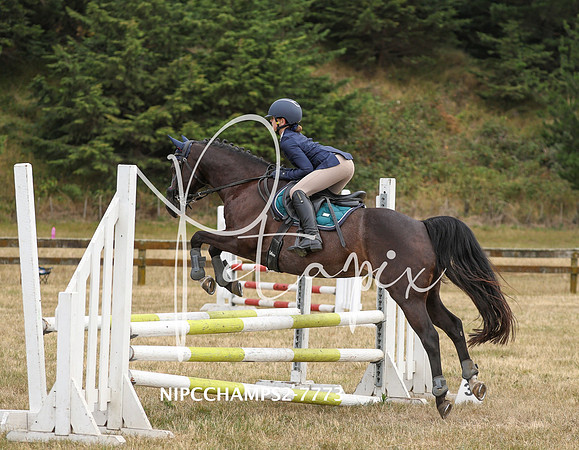 NIPCCHAMPS2-7773