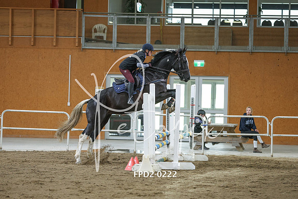 FPD2-0222