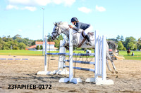 23FAPIFEB-0172