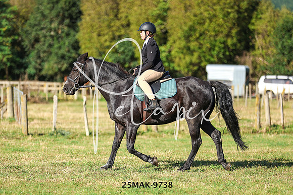 25MAK-9738