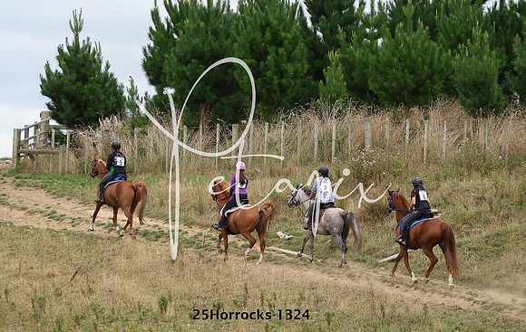 25Horrocks-1324