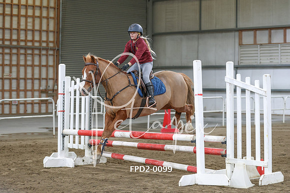 FPD2-0099