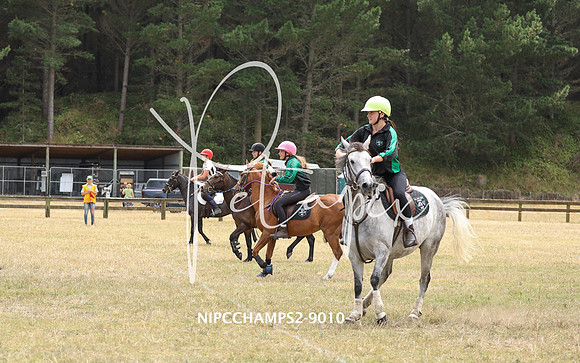 NIPCCHAMPS2-9010