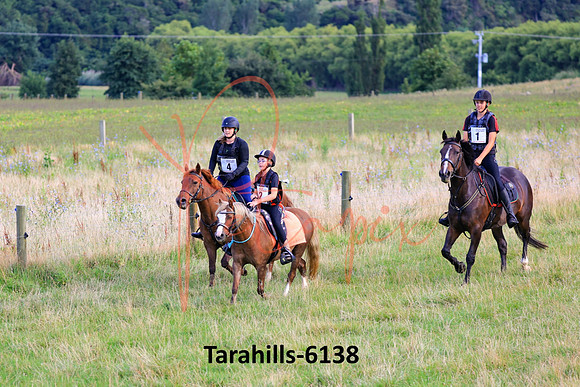 Tarahills-6138