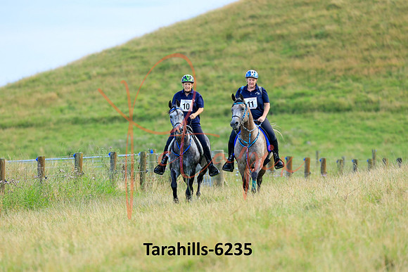 Tarahills-6235