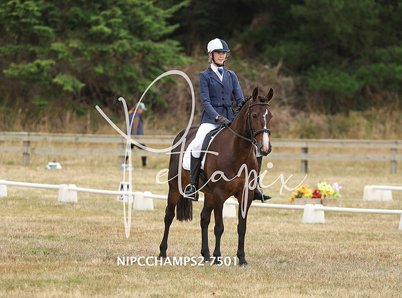 NIPCCHAMPS2-7501