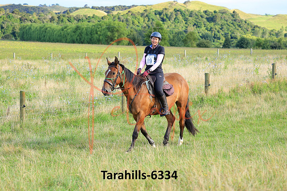Tarahills-6334