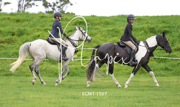 EGMT-1507