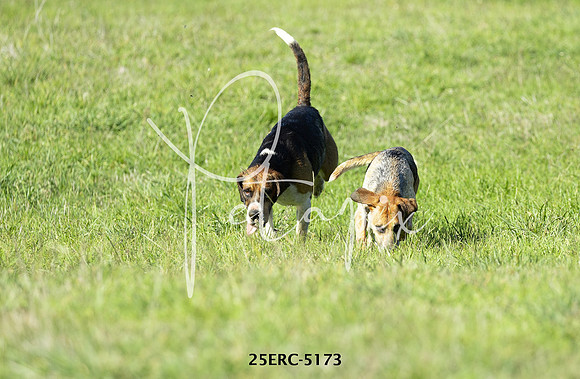 25ERC-5173