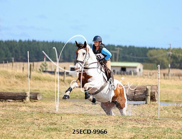 25ECD-9966