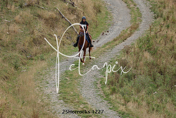 25Horrocks-1227