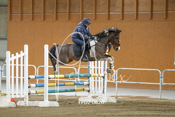 FPD2-0620