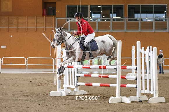 FPD3-0901