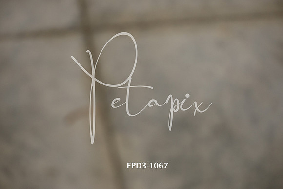 FPD3-1067