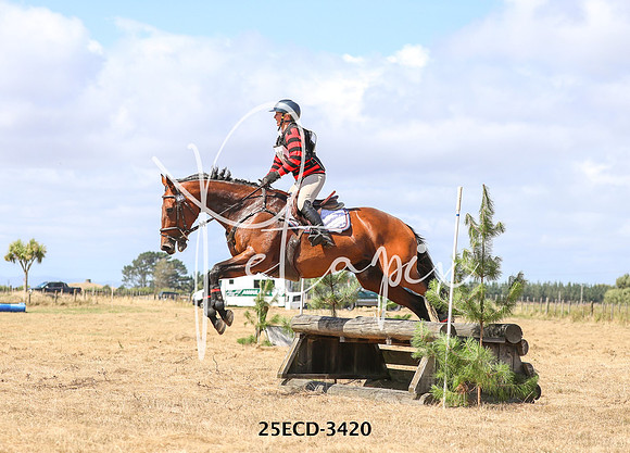 25ECD-3420