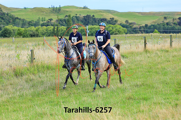 Tarahills-6257