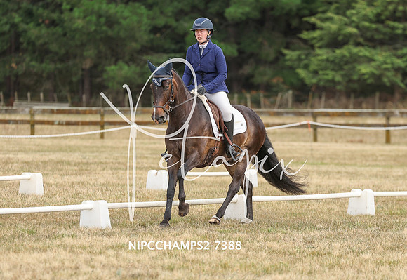 NIPCCHAMPS2-7388