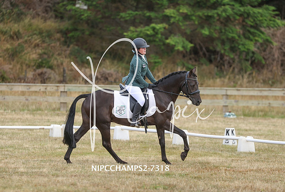 NIPCCHAMPS2-7318