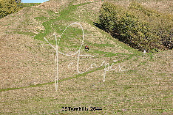 25Tarahills-2644