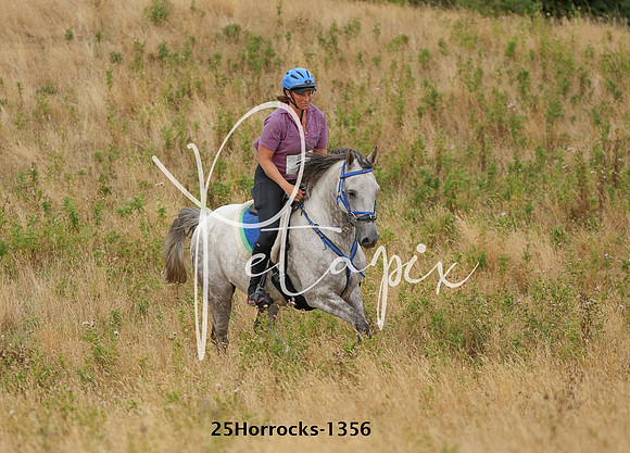 25Horrocks-1356
